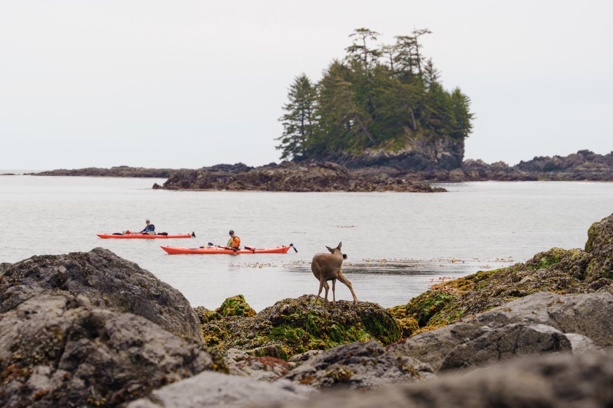 Snug Harbour Inn Ucluelet Exterior photo